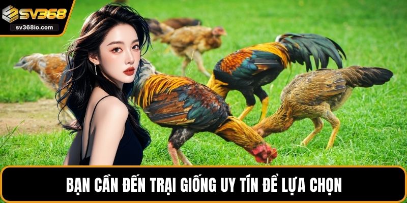 Bạn cần đến trại giống uy tín để lựa chọn