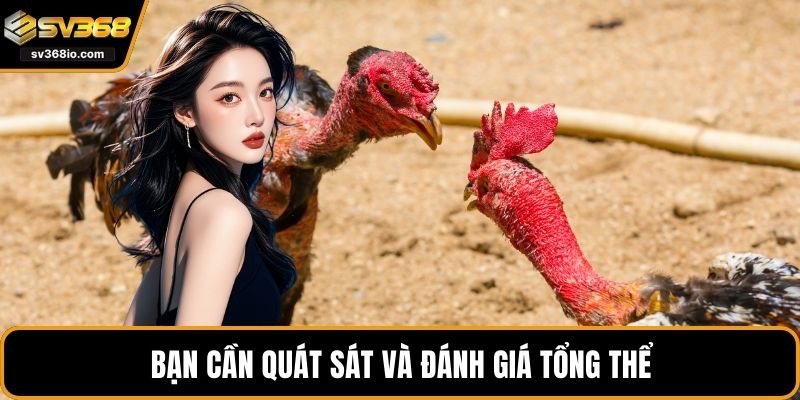 Bạn cần quát sát và đánh giá tổng thể