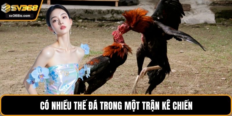 Có nhiều thế đá trong một trận kê chiến