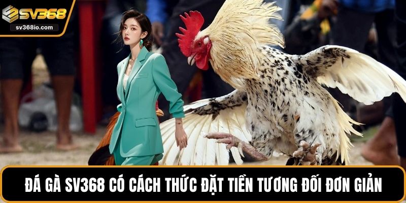Đá gà SV368 có cách thức đặt tiền tương đối đơn giản
