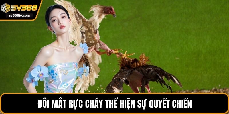 Đôi mắt rực cháy thể hiện sự quyết chiến