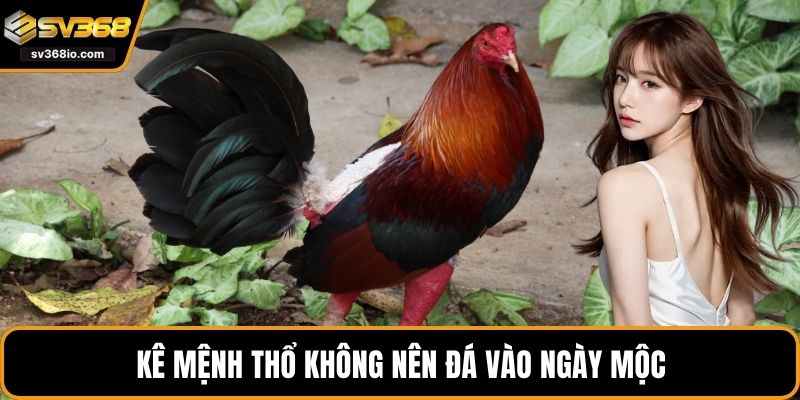 Kê mệnh Thổ không nên đá vào ngày Mộc