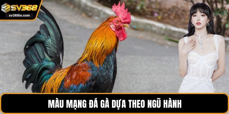 Màu mạng đá gà dựa theo ngũ hành