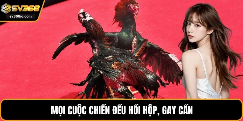 Mọi cuộc chiến đều hồi hộp, gay cấn
