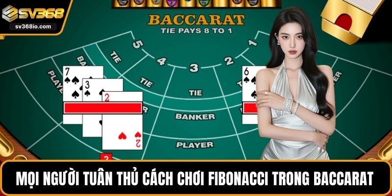 Mọi người tuân thủ các bước khi chơi fibonacci trong baccarat