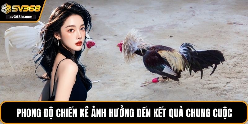 Phong độ chiến kê ảnh hưởng đến kết quả chung cuộc