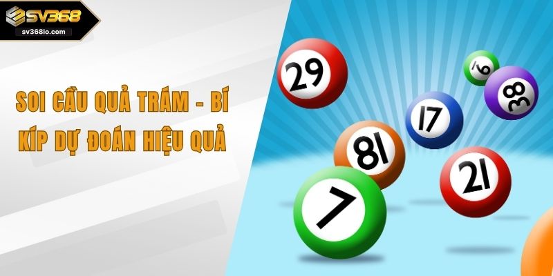 soi cầu quả trám