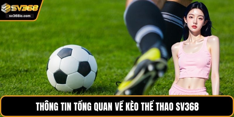 Thông tin tổng quan về kèo thể thao SV368