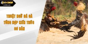 thuật ngữ đá gà