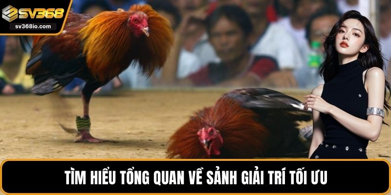 Tìm hiểu tổng quan về sảnh giải trí tối ưu