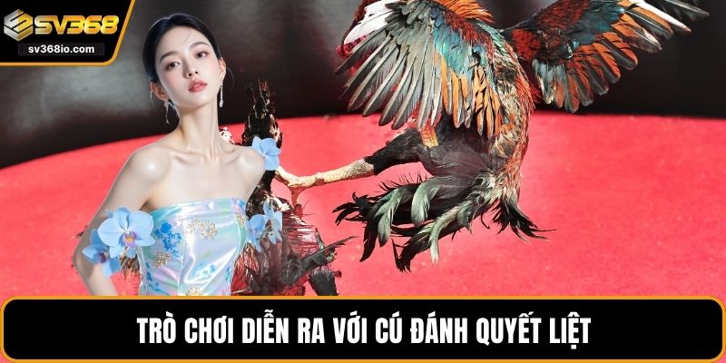 Trò chơi diễn ra với cú đánh quyết liệt