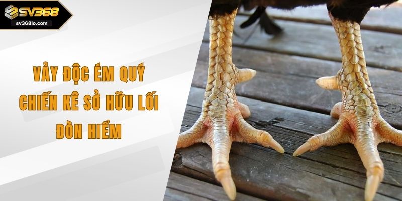 vảy độc ém quý