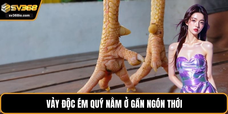 Vảy độc ém quý nằm ở gần ngón thới