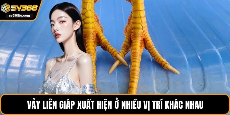 Vảy liên giáp xuất hiện ở nhiều vị trí khác nhau
