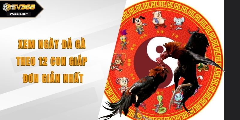 xem ngày đá gà theo 12 con giáp