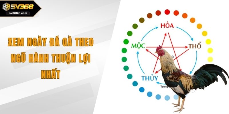 xem ngày đá gà theo ngũ hành