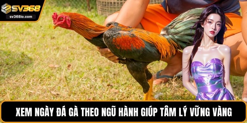 Xem ngày đá gà theo ngũ hành giúp tâm lý vững vàng